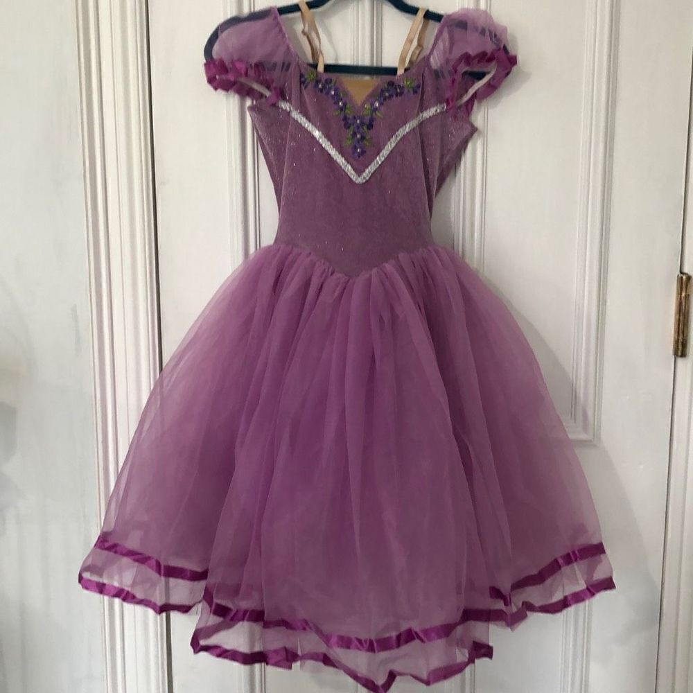 Fina Girl's Princess Cut Short Sleeve Purple Mesh Fit & Flare Gown Size L